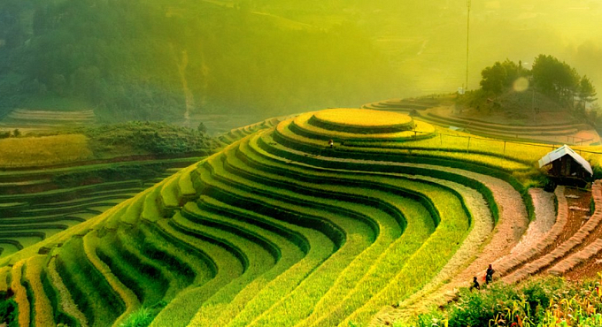 83782 Mu Cang Chai, YenBai Northwest Vietnam testata
