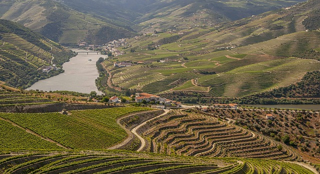 Portogallo valle del Douro