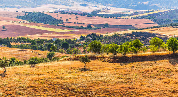 Andalusia paesaggio
